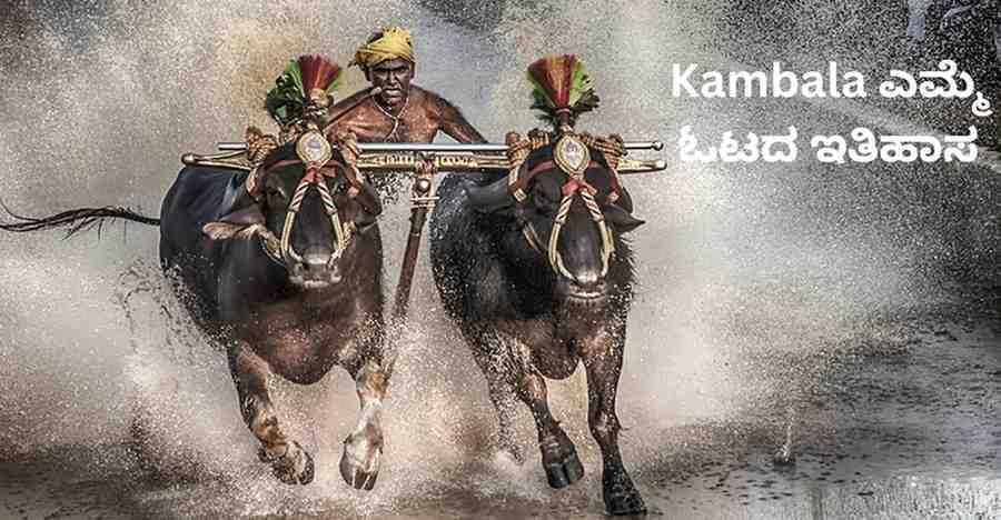 Kambala